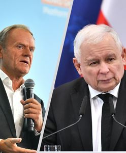 Najnowszy sondaż. Ekspertka o obawach PiS