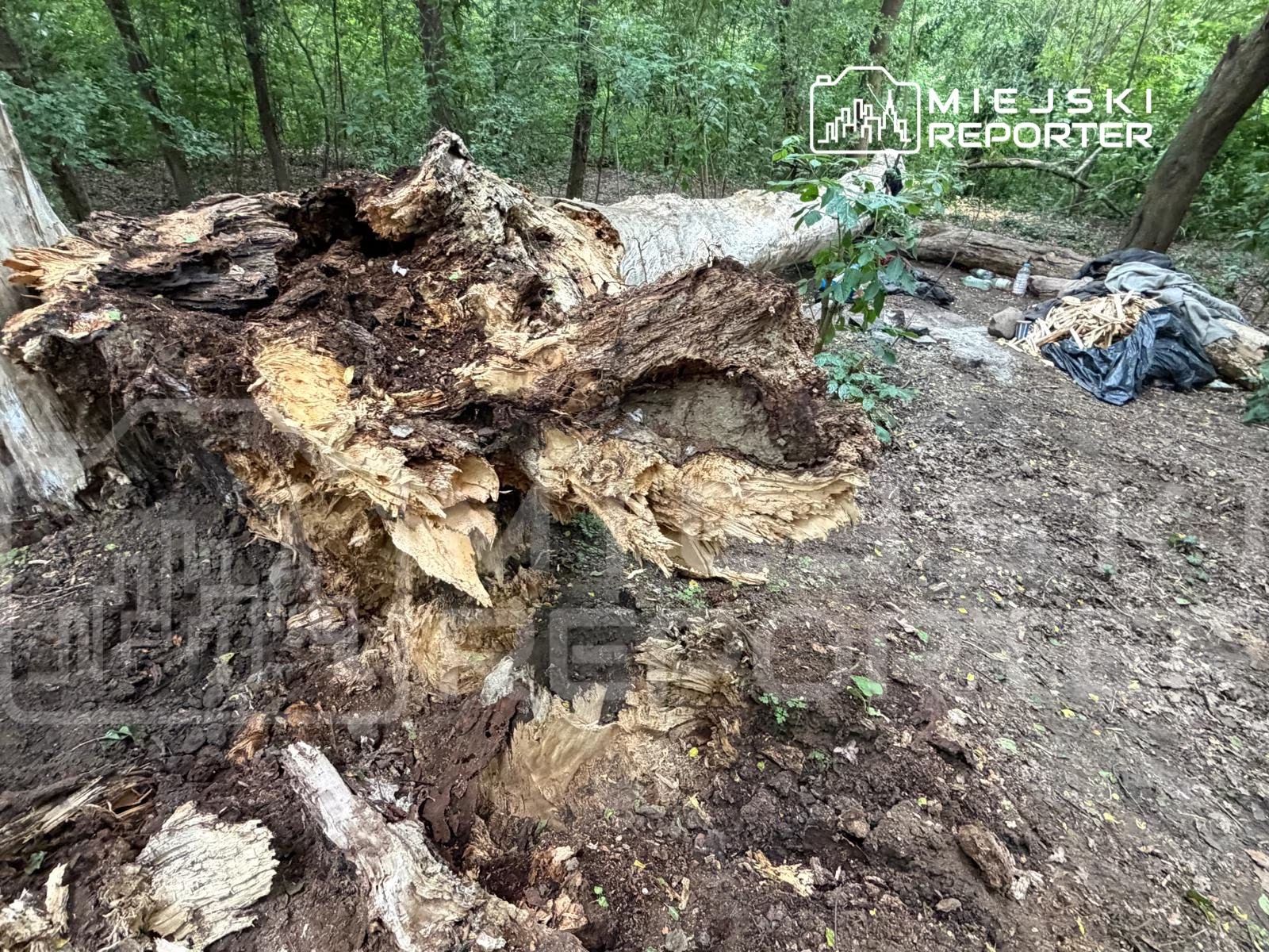 Lekarz stwierdził zgon mężczyzny