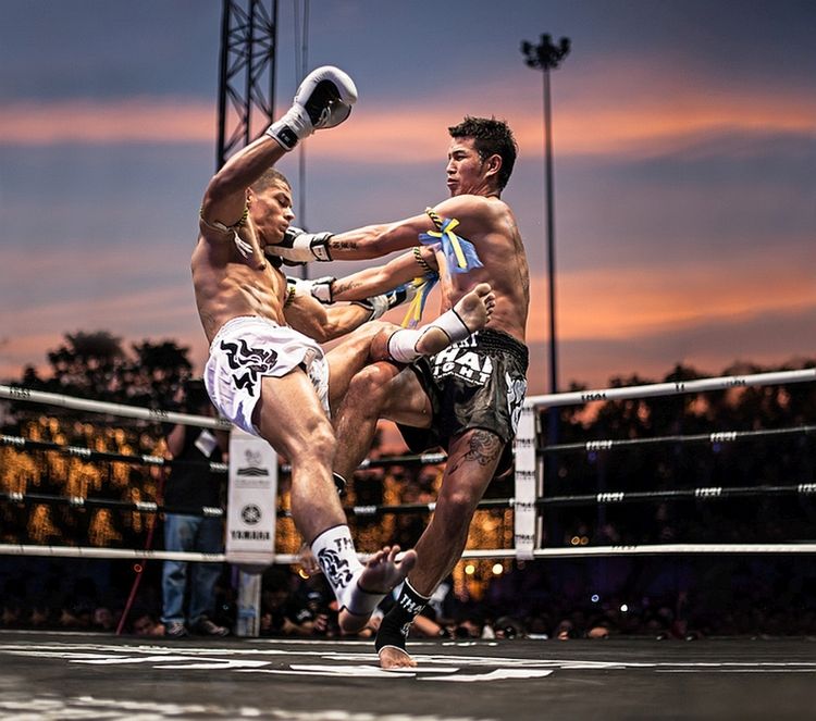 Polacy wśród wyróżnionych w konkursie International Photography Awards 2015 10