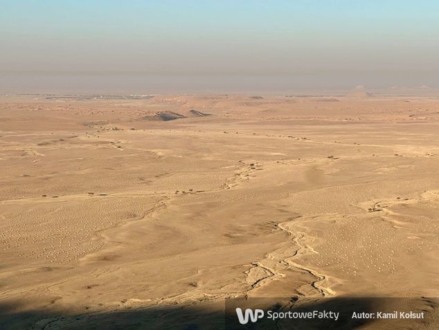 To pustynia, na której kiedyś wyrośnie las