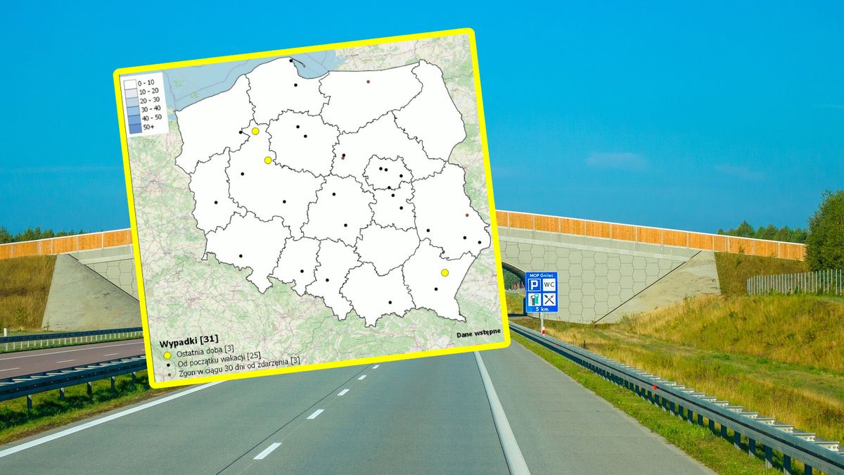 Musisz to wiedzieć, zanim wyruszysz na wakacje. Pamiętaj na drodze