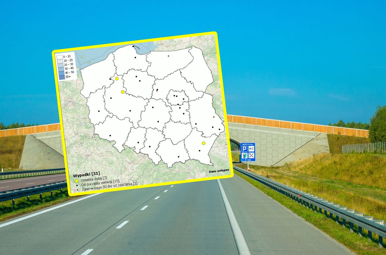 Mapa, którą powinien zobaczyć każdy. Wraca głośna akcja