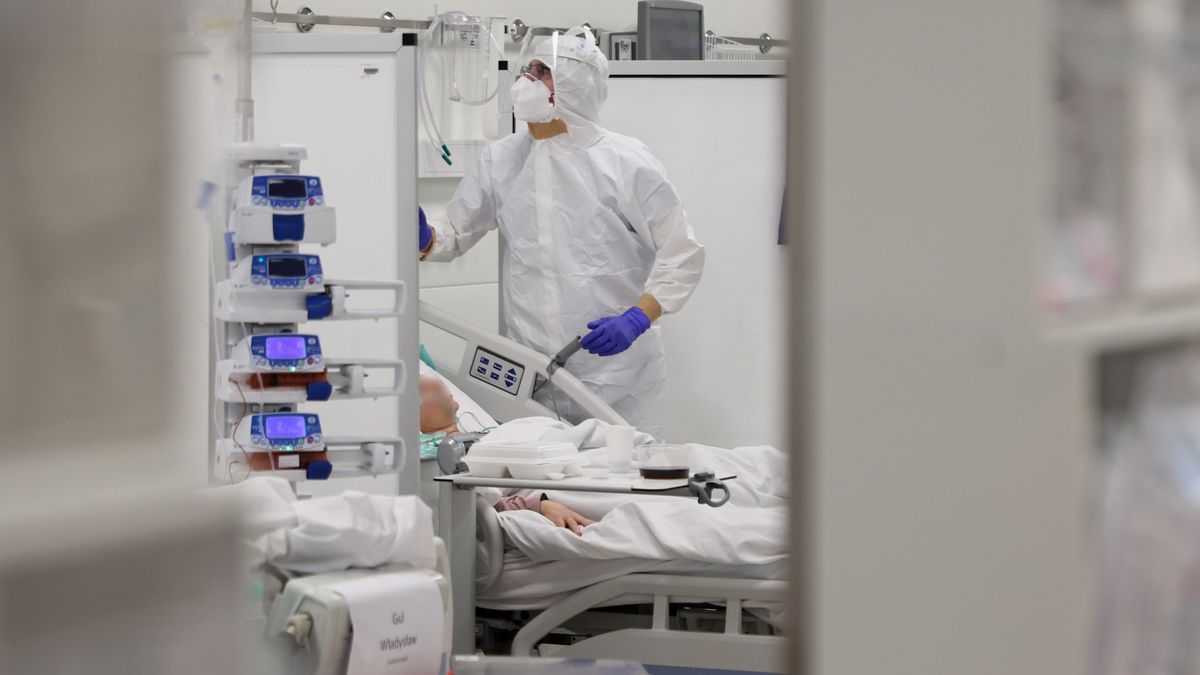 wn�trza szpitala
Warszawa, 29.10.2021. Koronawirus w Polsce. Personel medyczny oraz pacjenci z koronawirusem w Szpitalu Modu�owym Wojskowego Instytutu Medycznego w Warszawie, 29 bm. (sko) PAP/Leszek Szyma�ski
Leszek Szyma�ski
covid, COVID-19, epidemia, epidemie i zarazy, koronawirus, koronawirus w Polsce, pandemia, SARS-CoV-2, stan epidemii, szpital modu�owy, WIM, wirus, wojskowy instytut medyczny