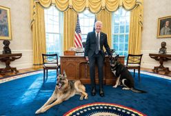 USA: incydent w Białym Domu. Psy Joe Bidena odesłane