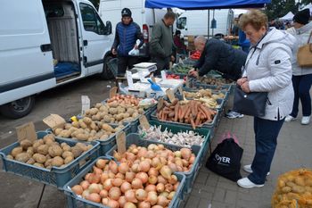 Dziś mamy klęskę urodzaju, ale za chwilę ziemniaków może zabraknąć