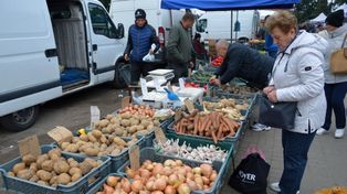 Dziś mamy klęskę urodzaju, ale za chwilę ziemniaków może zabraknąć