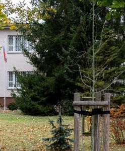 Były rosyjski konsulat w Poznaniu. Budynek jak z minionej epoki