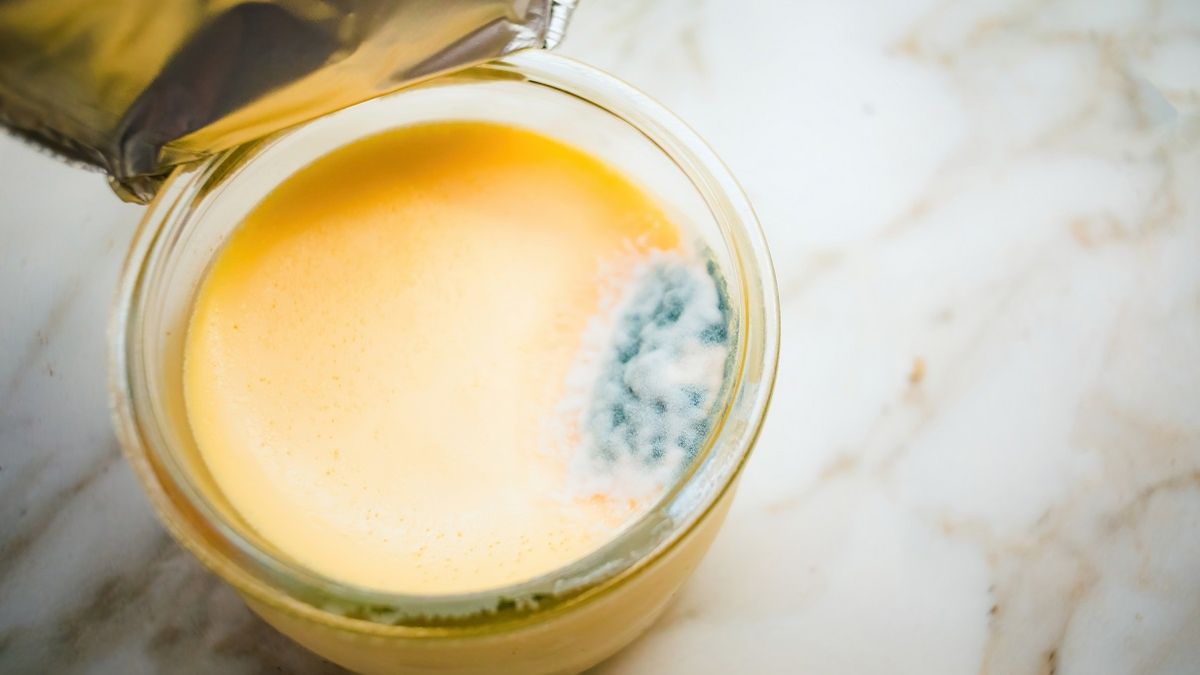 Dlaczego trzeba uważać na pleśń na jedzeniu?