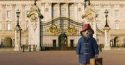 "Paddington": Jak się macie - Misia znacie? [RECENZJA]
