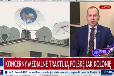 grafika