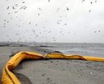 USA: Do zatoki wycieka prawie milion litrów ropy dziennie