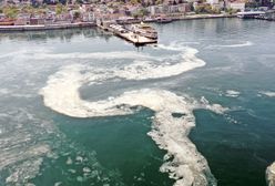 Turcja. "Morskie smarki" w Morzu Marmara coraz większym problemem