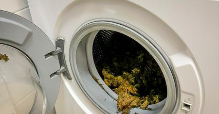 Niespodzianka w łazience. Wrzucił marihuanę do wanny i pralki
