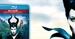 Angelina Jolie jako ''Czarownica''! Na Blu-ray 3D, Blu-ray i DVD już od 24 października!