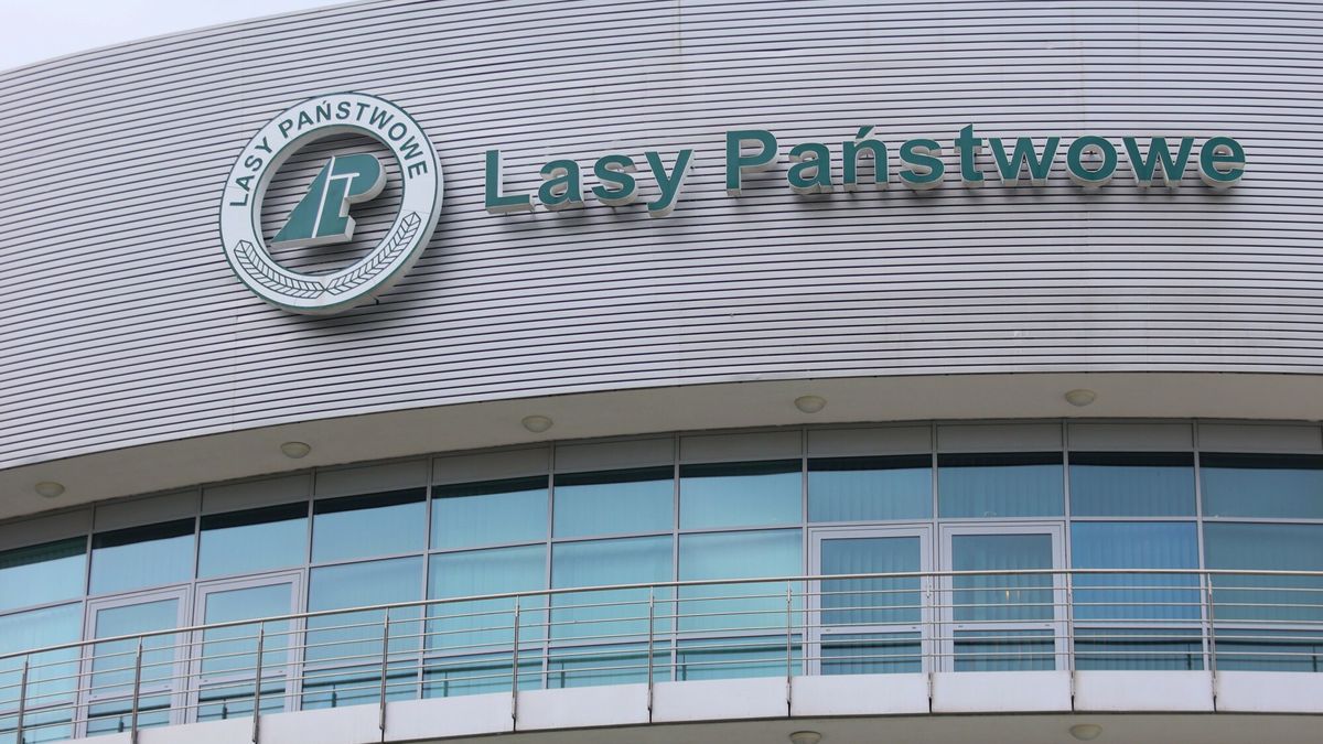 Poseł PiS wzywa do poparcia referendum ws. Lasów Państwowych