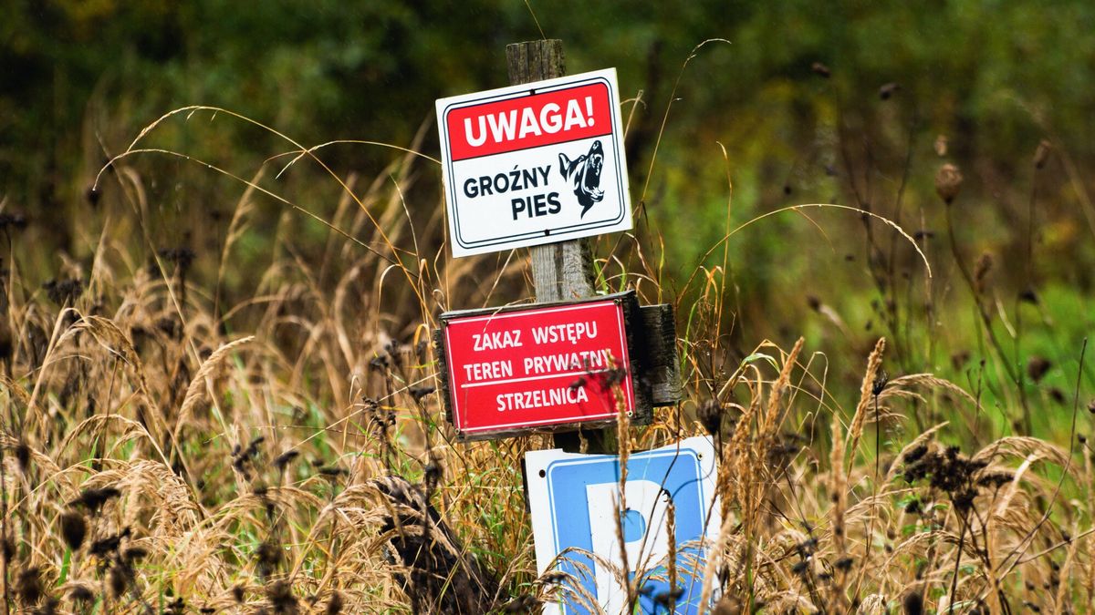 Miejsce, gdzie doszło do ataku