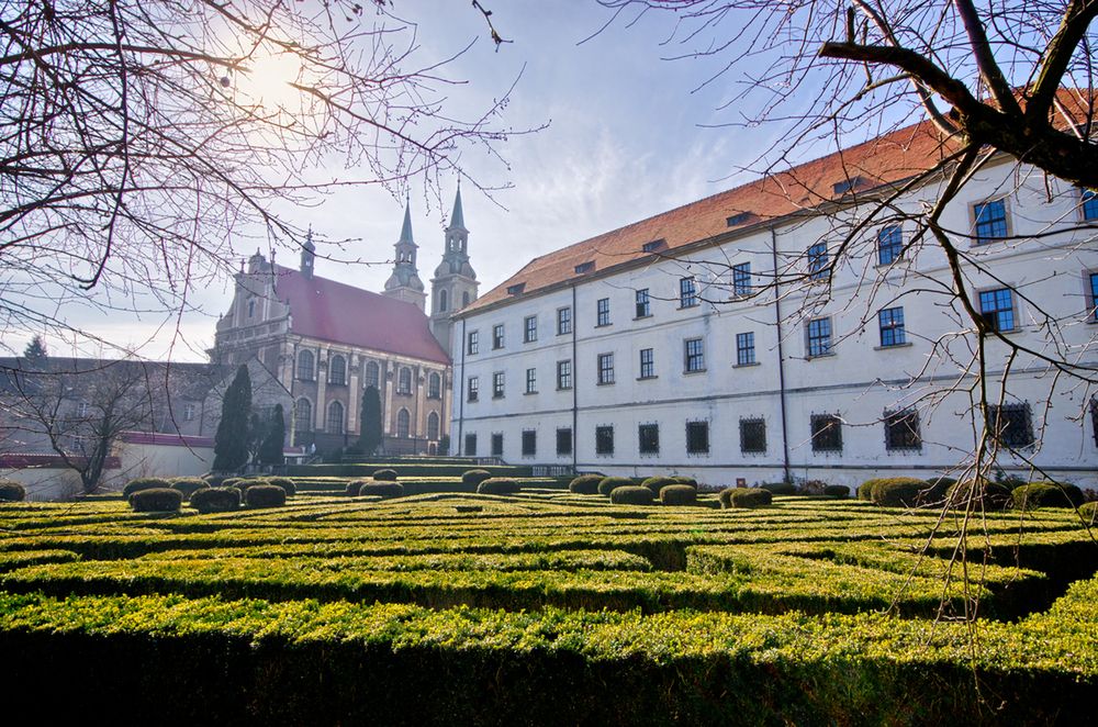 Obraz