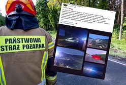 Zderzenie pojazdu z łosiem na autostradzie A1 w Łódzkiem. Nie żyje 34-latek