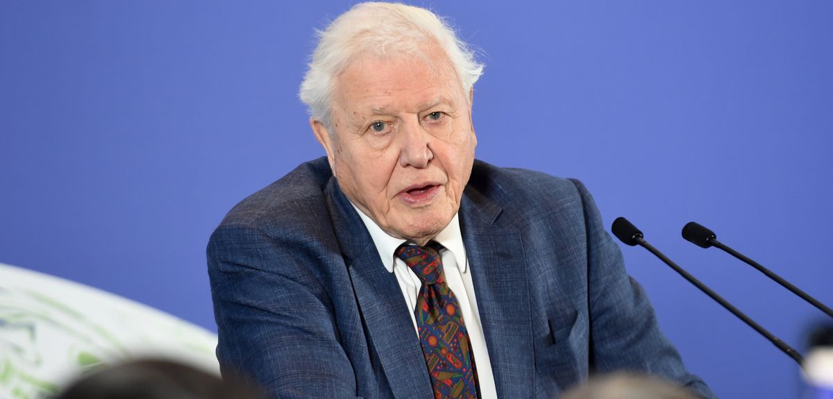 David Attenborough założył konto na Instagramie. Pobił rekord Jennifer Anist