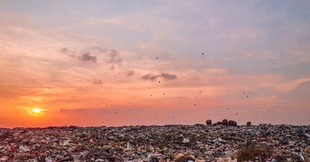 Makabra koło Gdyni. Noworodek znaleziony na wysypisku