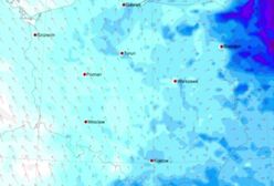 Pogoda. Ile potrwa wiosna przed wiosną? Odpowiedź z IMGW
