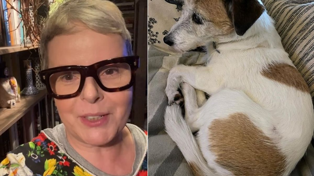 Korwin-Piotrowska wrzuciła zdjęcie psa po Sylwestrze. 