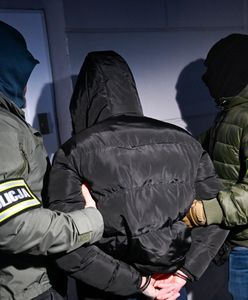 Wyrwał matce niemowlę z rąk i uciekł. Są zarzuty