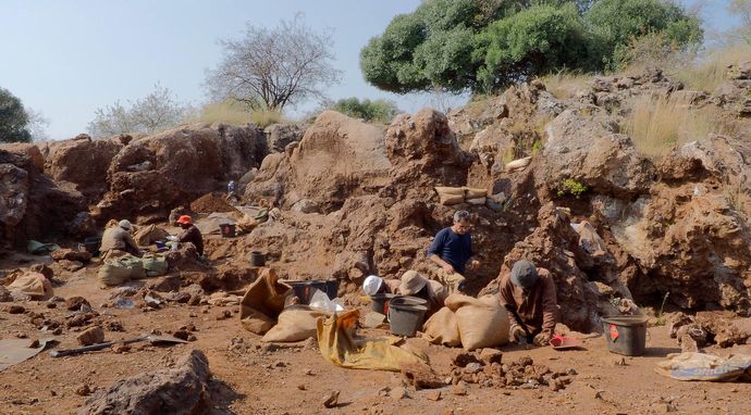 Kromdraai. Kolebka ludzkości