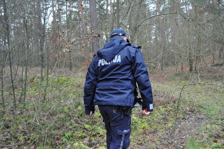 Policja apeluje przed wyjściem na grzyby