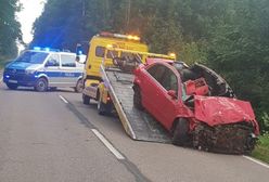 Makabra pod Ciechanowem. Nagle zauważył łosia