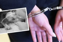 Kibicowała mu cała Polska. Pies Muniek nie żyje