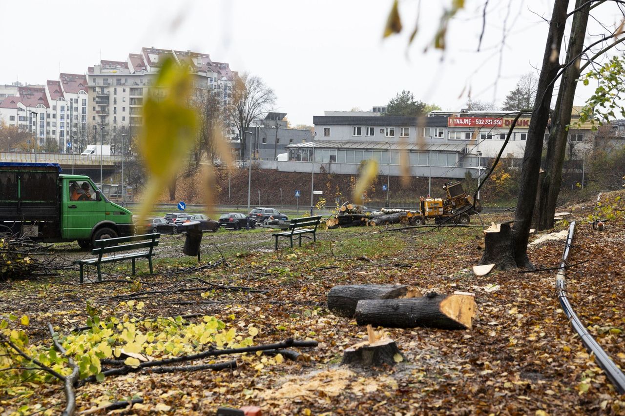 Kraków: Wielka wycinka drzew przy stacji kolejowej w Bronowicach. Już szykują się do budowy węzła i parkingu?
