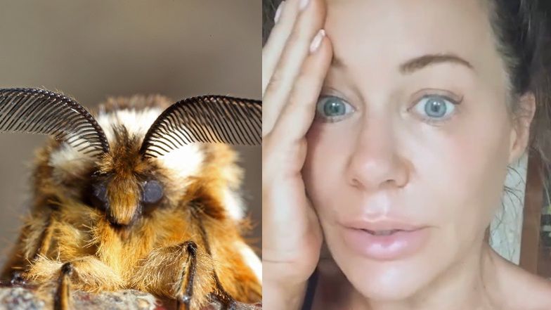 Niewyspana Małgorzata Rozenek relacjonuje spotkanie z ćmami