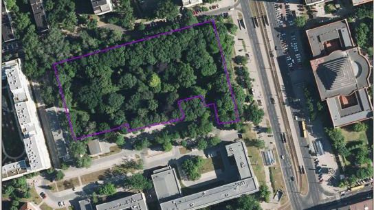 Warszawa. Jak uratować stuletni park przed deweloperem