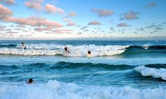 Krwawa seria w Sydney. Trzy ataki rekinów w 48 godzin