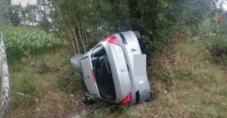 Przez otwartą szybę wleciała mucha. Samochód dachował