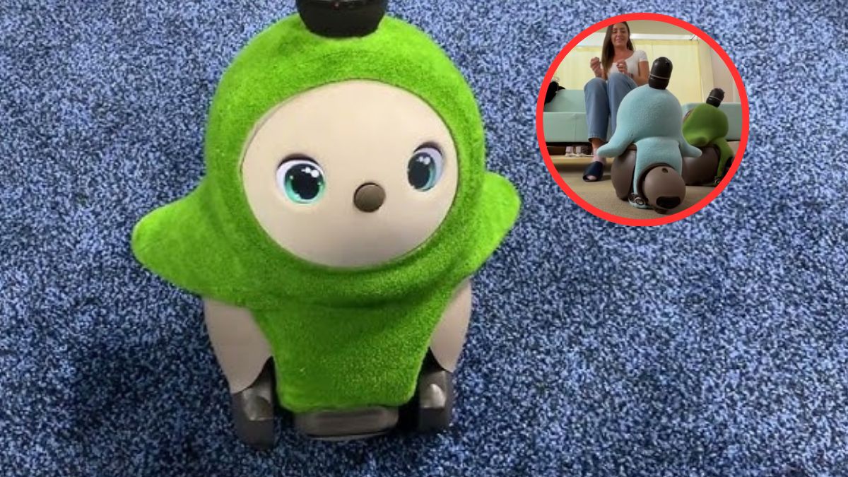 Te roboty nie leczą, ale pomagają pacjentom