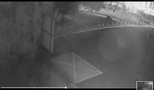 Pobicie Włochów w Warszawie. Policja pokazała nagrania z bójki