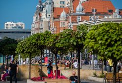 Katowice. Wielka wymiana zieleni w śródmieściu. Efekt już w kwietniu