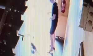 Znęcał się nad kotem. Sąd skazał go na więzienie