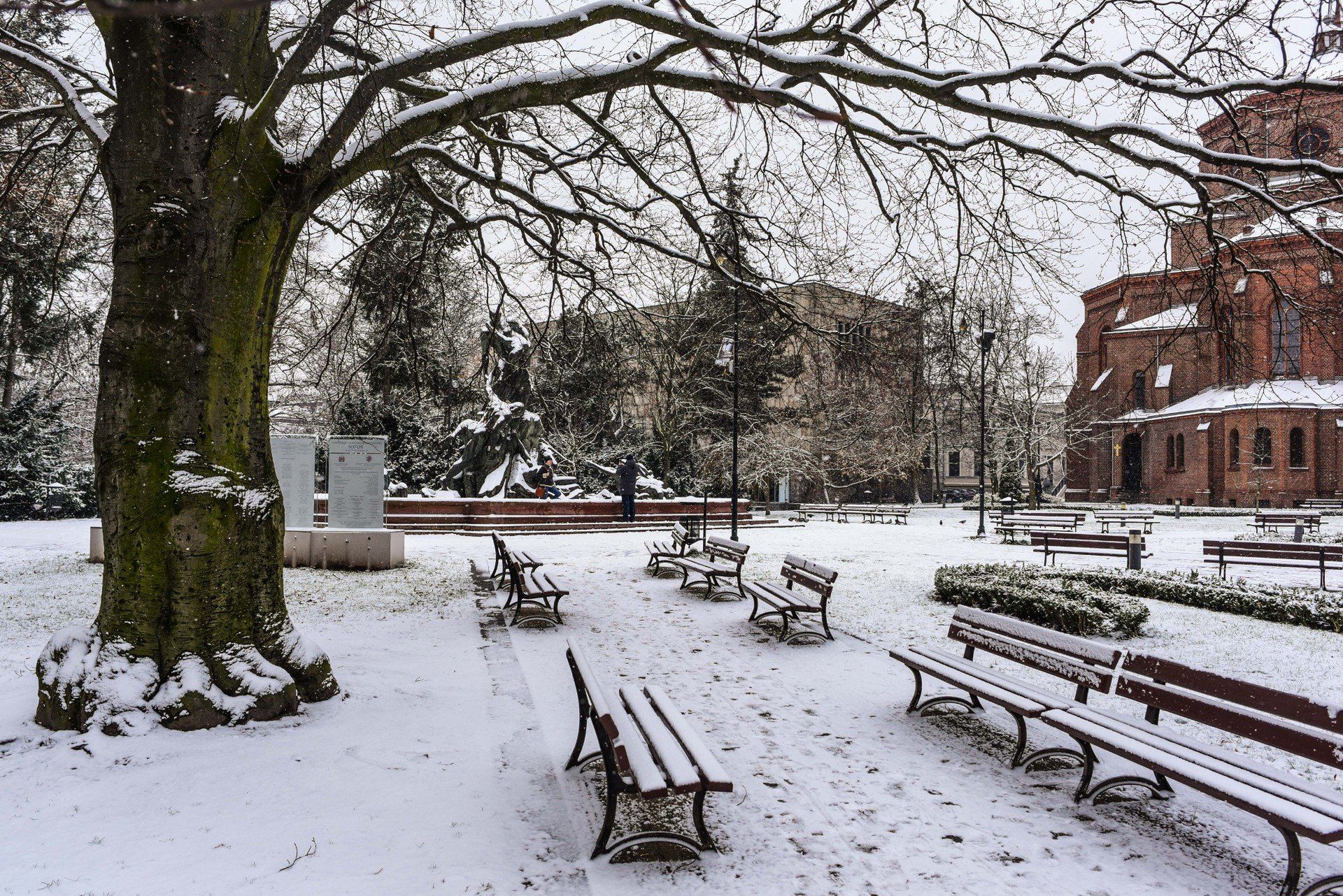 Przy padającym gęstym i mokrym śniegu warunki na drogach mogą być bardzo trudne. 