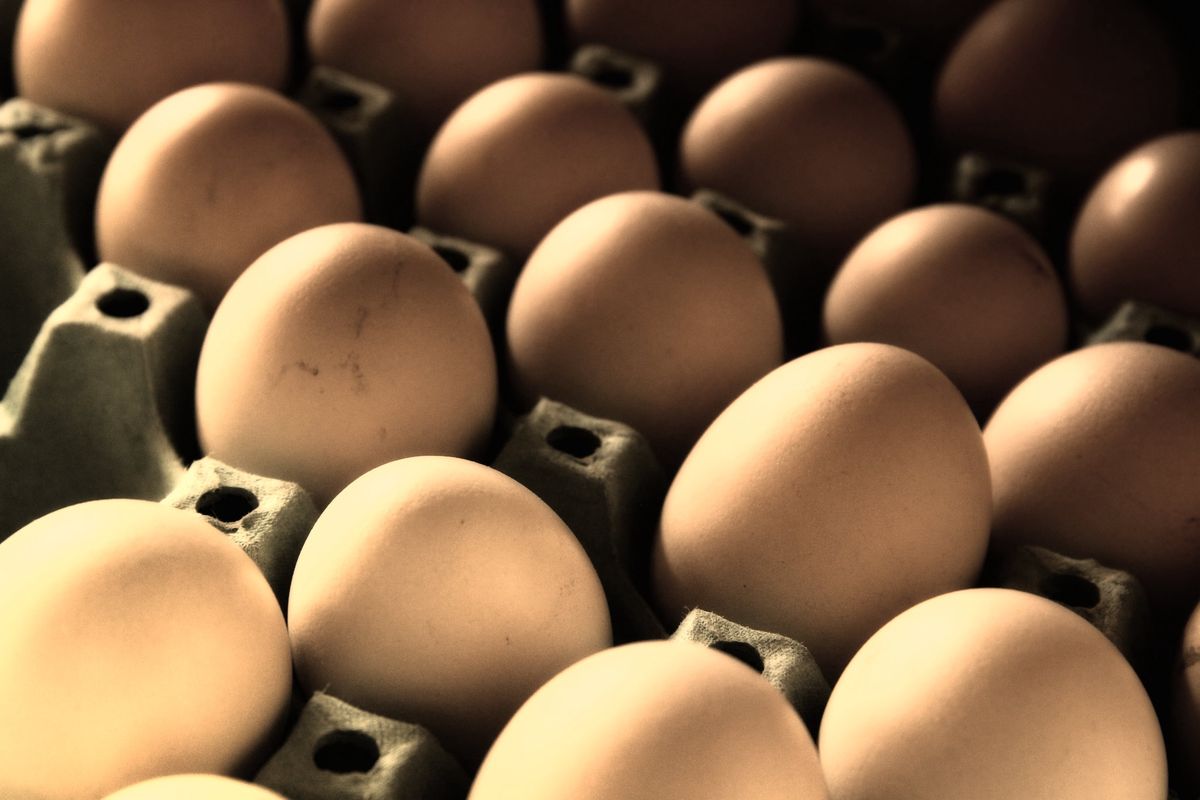 Biedronka wycofa jaja z chowu klatkowego do końca 2021 roku (zdj. ilustracyjne).