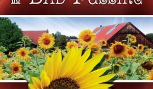 Baśń o małym miasteczku