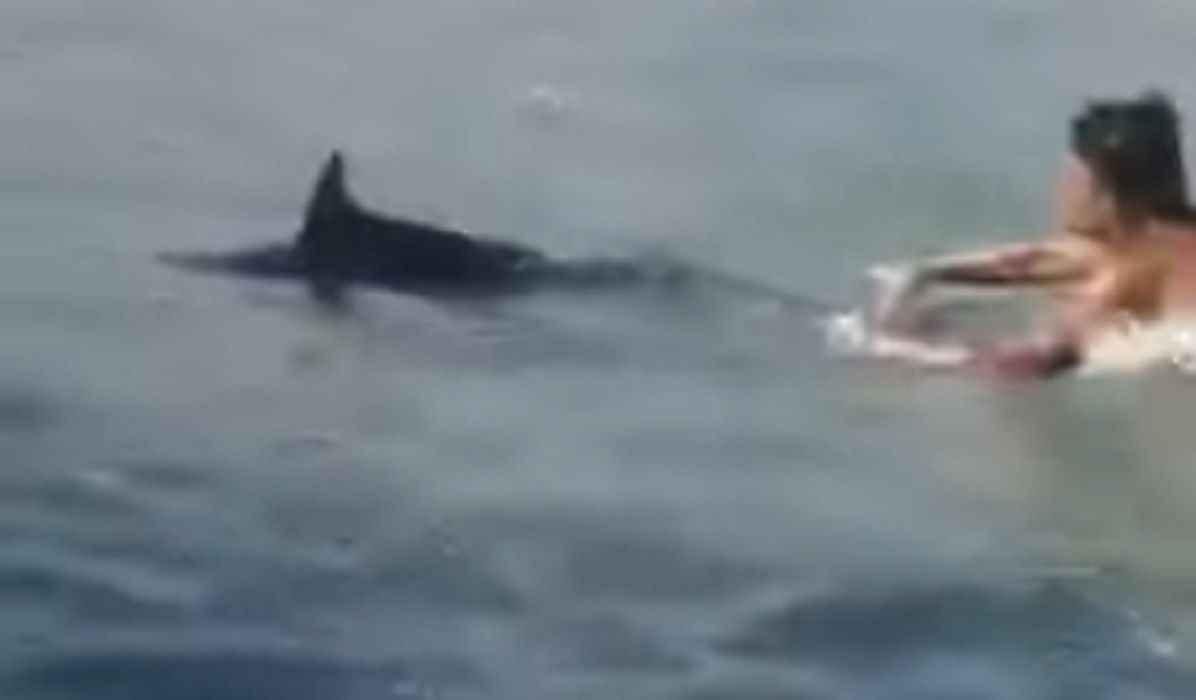 Grecja. Okrutni turyści na plaży. Tysiące ludzi żądają