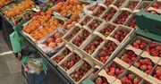Sprzedają polskie truskawki. Mówią jak ludzie reagują na wysoką cenę