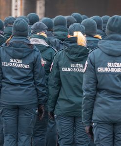 Nielegalnie importowali drewno z Rosji. Tak obchodzili sankcje