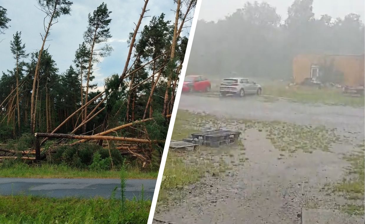 Potężne burze przeszły przez część kraju. Połamane drzewa i ewakuacje