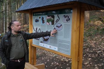 Relikty Puszczy Karpackiej zobaczysz na atrakcji w Nowicy. Ścieżka edukacyjna Nadleśnictwa Łosie nagrodzona w konkursie ekoLiderzy