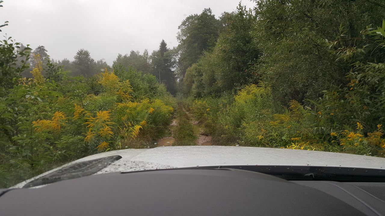 Droga gminna zmieniła się w pewnym momencie w "park jurajski". Miałem wątpliwości co do dalszej jazdy. Potem dowiedziałem się, że to też jest droga gminna z dopuszczeniem do ruchu.