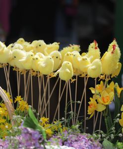 Badanie dla WP. Święta wielkanocne będą skromniejsze niż rok temu